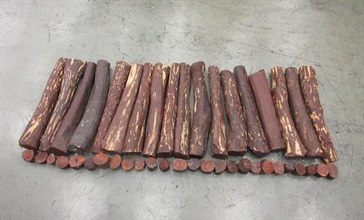 Hong Kong Customs seized about 1 930 kilograms of suspected scheduled red sandalwood, with an estimated market value of about $9.63 million, at Hong Kong International Airport from November 8 to yesterday (November 16). Photo shows some of the suspected scheduled red sandalwood seized.