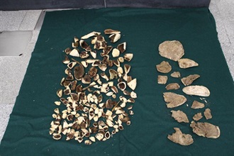 The Customs and Excise Department conducted an operation during the Christmas and New Year holidays at the airport, seaport, land boundary and railway control points in a bid to combat smuggling and other illegal activities through passenger and cargo channels. Customs officers seized about 3 kilograms of suspected agarwood with an estimated market value of about $260,000 at Shenzhen Bay Control Point on January 2.