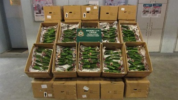 The Customs and Excise Department conducted an operation during the Christmas and New Year holidays at the airport, seaport, land boundary and railway control points in a bid to combat smuggling and other illegal activities through passenger and cargo channels. Customs officers seized about 5 000 pieces of suspected controlled cactuses in a cargo compartment with an estimated market value of about $400,000 at Man Kam To Control Point on December 16.