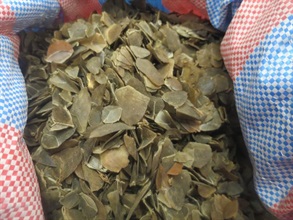 About 2 100 kilograms of suspected pangolin scales, worth about $4.8 million, were seized by Customs from a container at the Kwai Chung Customhouse Cargo Examination Compound yesterday (July 28).