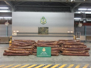 Hong Kong Customs yesterday (February 8) seized about 14 300 kilograms of suspected red sandalwood from a container at the Kwai Chung Customhouse Cargo Examination Compound. The estimated market value of the seizure was about $8.5 million.