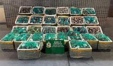 Hong Kong Customs and the Centre for Food Safety of the Food and Environmental Hygiene Department mounted joint operations at Man Kam To Control Point and Shenzhen Bay Control Point on October 28, November 5 and yesterday (November 7). A total of about 14 000 suspected smuggled hairy crabs and about 1 000 kilograms of suspected smuggled chilled food with a total estimated market value of about $1.46 million were seized. Photo shows the suspected smuggled hairy crabs seized at Shenzhen Bay Control Point.
