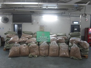兩個貨櫃內共檢獲約五千三百三十九公斤煙草。