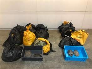 Hong Kong Customs yesterday (May 5) seized 216 suspected illegally imported Chinese soft-shelled turtles and 75 red-eared sliders with an estimated market value of about $30,000 at Lok Ma Chau Control Point.