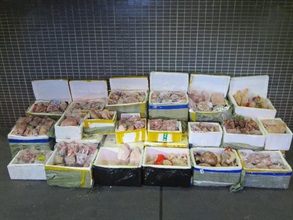 Hong Kong Customs and the Centre for Food Safety of the Food and Environmental Hygiene Department mounted joint operations at Shenzhen Bay Control Point on October 24 and yesterday (October 25) and seized a total of about 12 000 suspected smuggled hairy crabs and about 700 kilograms of suspected smuggled frozen food with a total estimated market value of about $650,000. Photo shows the suspected smuggled frozen food seized.