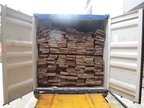 香港海关在一个运抵本港的20呎货柜内检该批象牙。