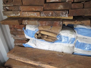 該批象牙以30個尼龍袋包裹，並以木板作掩飾，藏於貨櫃深處。