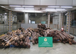 香港海關昨日（十月三十一日）在葵涌海關大樓驗貨場一個貨櫃內檢獲約一萬二千二百公斤懷疑屬於瀕危物種的紫檀木材，總值約八百五十萬元。