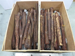 香港海关今日（十月七日）在香港国际机场检获约三千一百八十六公斤怀疑受管制紫檀木材，估计市值约二百一十六万元。图示检获的怀疑受管制紫檀木材。