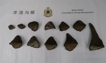 Hong Kong Customs today (March 8) seized about 7 kilograms of suspected rhino horns with an estimated market value of about $1.4 million at Hong Kong International Airport.