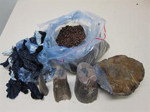 Hong Kong Customs seized 12 pieces of suspected rhino horn in two express air parcels at the Hong Kong International Airport on March 22.