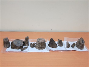 Hong Kong Customs seized 12 pieces of suspected rhino horn in two express air parcels at the Hong Kong International Airport on March 22.