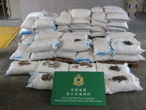 Hong Kong Customs today (March 28) seized about 1 989 kilograms of dried sea cucumbers from a container at the Kwai Chung Customhouse Cargo Examination Compound. The estimated market value of the seizure was about $850,000.