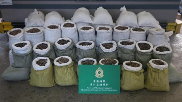 Hong Kong Customs yesterday (May 29) seized about 7 200 kilograms of suspected pangolin scales from a container with an estimated market value of $4.6 million at the Kwai Chung Customhouse Cargo Examination Compound.