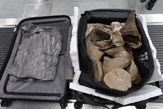 Hong Kong Customs today (June 10) seized about 10.5 kilograms of suspected rhino horns with an estimated market value of about $2.1 million at Hong Kong International Airport.