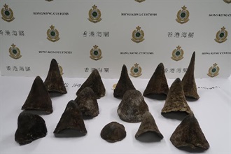 香港海關今日（六月十日）在香港國際機場檢獲約十點五公斤懷疑犀牛角，估計市值約二百一十萬元。