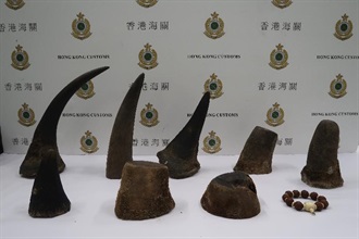 香港海關今日（七月十一日）在香港國際機場檢獲約八點一六公斤懷疑犀牛角及約六十克懷疑象牙製品，估計市值共約一百六十三萬元。