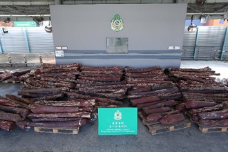 Hong Kong Customs today (September 21) seized about 12,370 kilograms of suspected red sandalwood from a container at the Kwai Chung Customhouse Cargo Examination Compound. The estimated market value of the seizure was about $8.7 million.