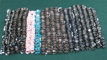 Hong Kong Customs yesterday (November 6) seized 405 suspected smuggled watches with an estimated market value of about $180,000 at Shenzhen Bay Control Point.