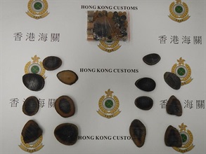 香港海關今日（十一月十二日）在香港國際機場檢獲約二點六公斤懷疑犀牛角，估計市值約五十二萬元。圖示於一名男旅客身上發現約零點八公斤的懷疑犀牛角。