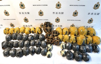 香港海關昨日（九月二十八日）在香港國際機場檢獲五十七隻懷疑瀕危物種活龜，估計市值約港幣三十四萬元，案件亦懷疑涉及殘酷對待動物的行為。