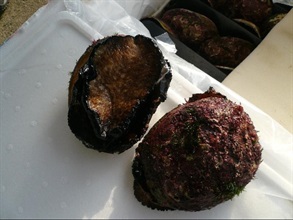 Photo shows the abalone seized in the joint operation.