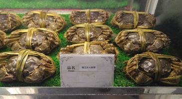 Hong Kong Customs and the Food and Environmental Hygiene Department mounted a joint operation on October 21 and seized 19 crabs described as "Yangcheng Lake hairy crabs" with a suspected false claim of origin and an estimated market value of about $1,300 from a licensed food premises in Causeway Bay.