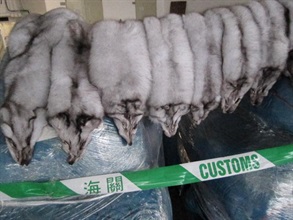 The seized smuggled furs.