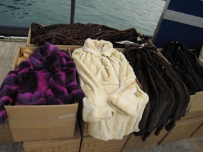 Some of the seized furs and fur coats.