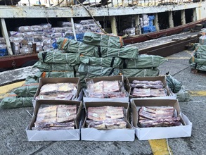 香港海關昨日（十一月二十八日）進行反走私行動，在香港東南水域偵破一宗涉嫌利用漁船走私的案件，檢獲約五百四十公噸懷疑走私凍肉，估計市值約五千萬元。這是海關過去十年破獲最大宗的走私凍肉案件。圖示部分檢獲的懷疑走私凍肉。