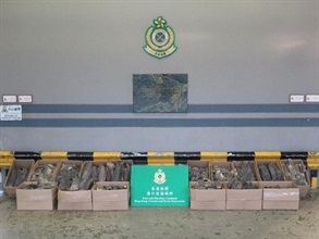 Hong Kong Customs yesterday (December 23) seized about 200 kilograms of suspected scheduled dried shark fins of endangered species with an estimated market value of about $120,000 from a container at the Tsing Yi Cargo Examination Compound.