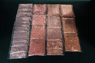 Hong Kong Customs yesterday (January 15) seized a total of about 7.9 kilograms of suspected smuggled gold accessories with an estimated market value of $2.6 million from two outgoing container trucks at Lok Ma Chau Control Point.