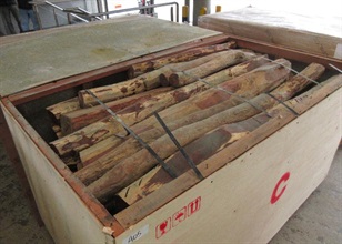 Hong Kong Customs seized about 26 160 kilograms of suspected Dalbergia species wood logs from two containers at the Kwai Chung Customhouse Cargo Examination Compound on February 5. The estimated market value of the seizure was about $3.6 million.