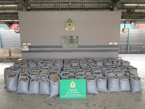 Hong Kong Customs today (March 7) seized about 2 800 kilograms of suspected pangolin scales with an estimated market value of about $3.3 million from a container at the Tsing Yi Cargo Examination Compound.