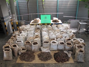 The pangolin scales seized.