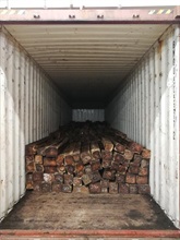 Hong Kong Customs yesterday (April 19) seized about 23 800 kilograms of suspected Honduras rosewood from a container at the Kwai Chung Customhouse Cargo Examination Compound. The estimated market value of the seizure was about $2.4 million.