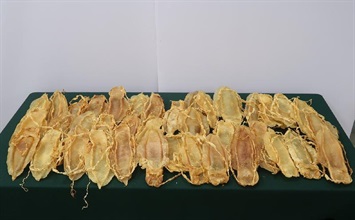 Hong Kong Customs yesterday (July 26) seized about 14.4 kilograms of suspected scheduled dried totoaba fish maws with an estimated market value of about $3.2 million at Hong Kong International Airport. Photo shows the suspected scheduled dried totoaba fish maws seized.