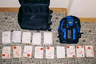 The 15 kilogrammes of cocaine seized by Customs.