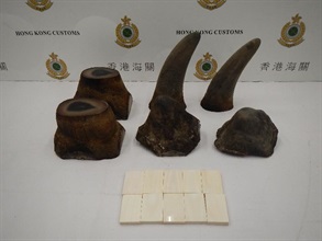 香港海关今日（六月六日）在香港国际机场检获约五点九公斤怀疑犀牛角及约四百一十克怀疑象牙制品，估计市值约一百二十万元。