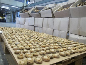 The dried abalones seized.