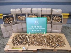The dried abalones seized.