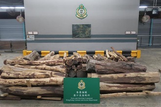 香港海關昨日（七月六日）在葵涌海關大樓驗貨場的一個貨櫃內檢獲約八千七百公斤懷疑交趾黃檀木材，估計市值約一百三十萬元。