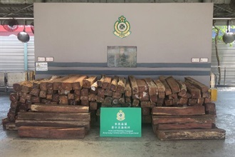 Hong Kong Customs today (July 11) seized about 26 000 kilograms of suspected Guatemalan rosewood from a container at the Kwai Chung Customhouse Cargo Examination Compound. The estimated market value of the seizure was about $1 million.