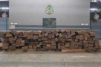 Hong Kong Customs and the Agriculture, Fisheries and Conservation Department mounted a joint anti-endangered species smuggling operation codenamed "Defender" at the airport, seaport, land boundary and railway control points between June 18 and August 25. Photo shows some of the suspected endangered tree logs seized.