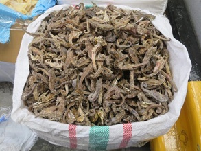Hong Kong Customs and the Agriculture, Fisheries and Conservation Department mounted a joint anti-endangered species smuggling operation codenamed "Defender" at the airport, seaport, land boundary and railway control points between June 18 and August 25. Photo shows some of the dried seahorses seized.