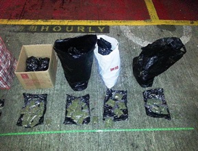 The suspected cannabis buds seized in the operation.