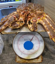 香港海關今日（十二月六日）採取試購行動打擊食肆供應重量不足海鮮，發現一間位於油麻地的食肆涉嫌供應重量不足的亞拉斯加蟹。
