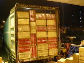 A total of 2,953,400 sticks of illicit cigarettes, worth about $5.61 million, were seized from a container truck at Sha Tau Kok Control Point on March 31.