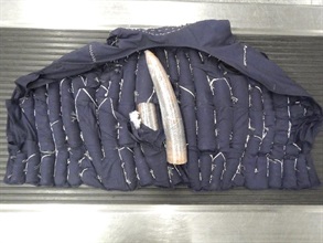 The tailor-made vest concealing the suspected ivory pieces.