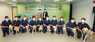 Hong Kong Customs and the Aviation Security Company Limited (AVSECO) have co-operated for the first time in a canine breeding programme, having successfully bred eight Labrador retriever puppies on February 5 this year (the fifth day of the Lunar New Year). Photo shows the Deputy Head of Land Boundary Command (Customs Canine Force), Ms Joy Wong (back row, left), and the Assistant Executive Director (Operations I) of the AVSECO, Ms Maxim Kwok (back row, right), in a picture with the eight puppies and their parents.